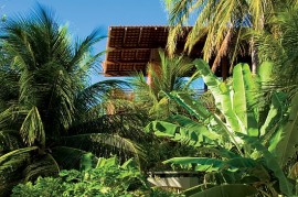 casa-tropical-4
