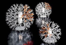 coral-lamps-by-pallucco-1
