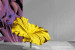 Exceptional flower-like chair design from Kenneth Cobonpuere: Bloom Chair