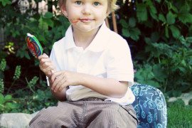 Sweet Seat Offers Booster Chairs for Kids