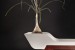 Splendid furniture items made from sustainable materials