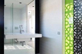 Dark-cladded facade sheltering bright interiors: Lily Street House