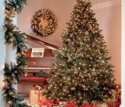 Christmas Trees Ideas 1