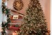 Christmas Tree Themes:  Making Xmas Really Worthy