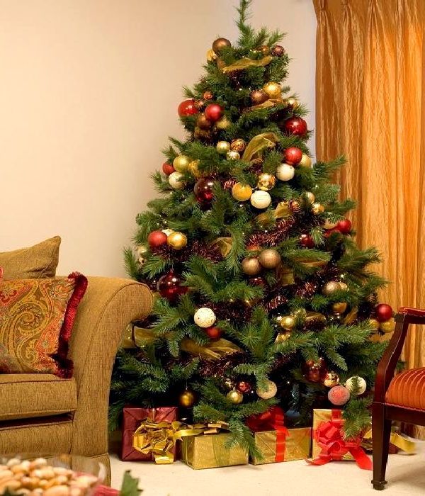 Christmas Trees Ideas 5