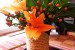Fancy DIY Rope Wrapped Vases, Jars & Bottles