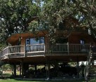 Largest Tree House in the World 1