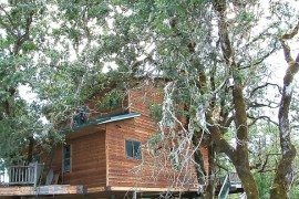 Largest Tree House in the World is a Perfect Summer Retreat