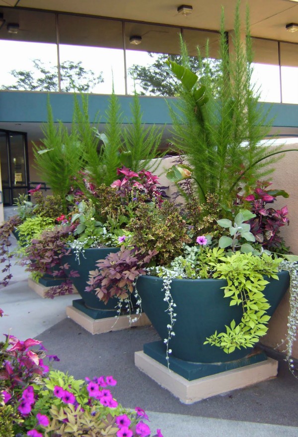 Ideas For Plant Arrangements For Large Outdoor Pots 77