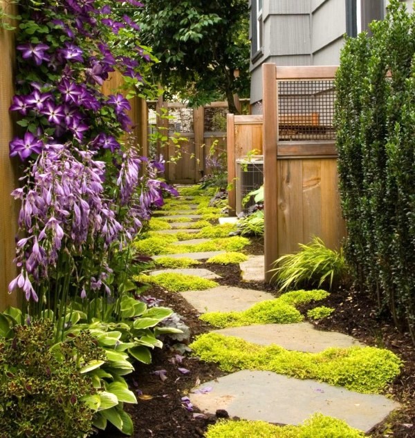 Plant And Stone Pathways