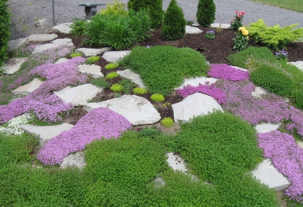 Rock Garden Design Ideas