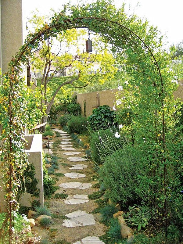 small backyard design plans