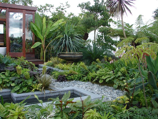 Small Tropical Garden Design