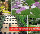 gardening ideas