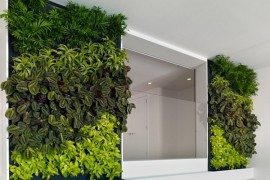 Office Space in San Francisco: Eco-friendly & Awe-Inspiring