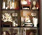 curiosity cabinet with faux coral.png