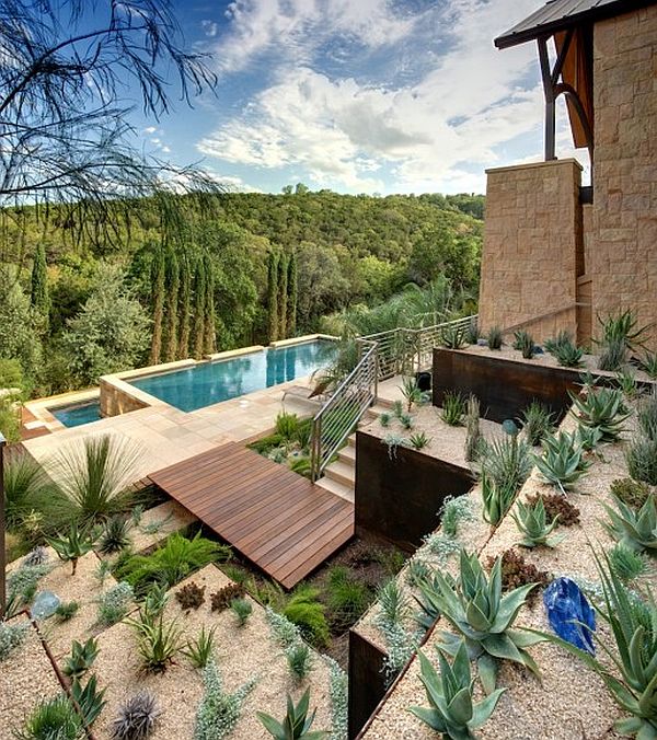 Sonoran Desert Landscape