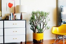 DIY Hints to Restore the Beauty out of the Blah