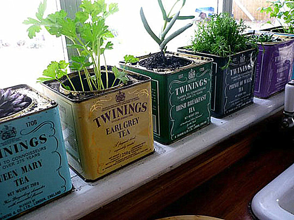 Indoor Gardening Ideas to Beautify Your Space