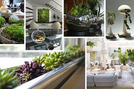 Indoor Gardening Ideas to Beautify Your Space