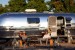 revamped Moroccan Style 1969 Airstream 1