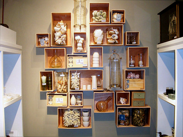 seashell collection display1 Creative Tips for Displaying Collections 