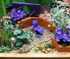 A miniature garden looking like a highly colored