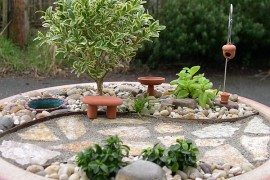 How to Create Miniature Gardens