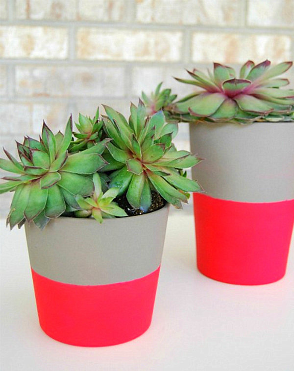 Hot pink planters