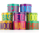 paint finishing touches - dazzling colors 1