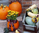 Beautiful pumpkin planters