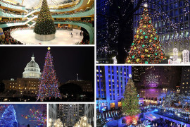 The 10 Most Amazing Christmas Trees in the U.S.