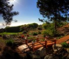 Japanese Garden Bridge adds a unique element to your backyard