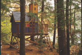 Tree House Plans to Build for Your Kids