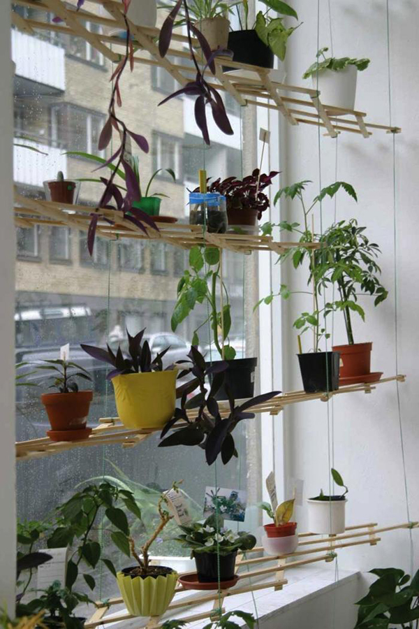 Diy lattice window plant shelf