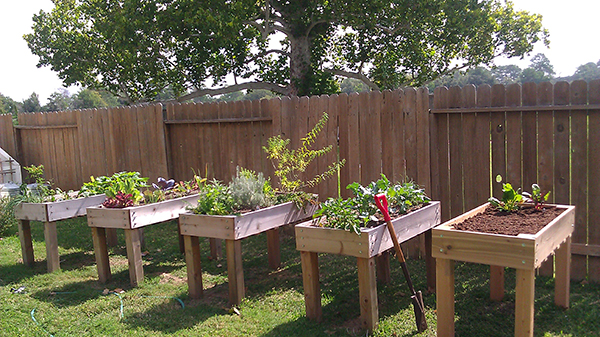 DIY Raised Planter Box Vegetable Garden Home Gardening in Unusual 