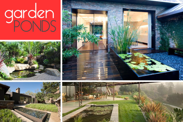 Garden Ponds Design Ideas