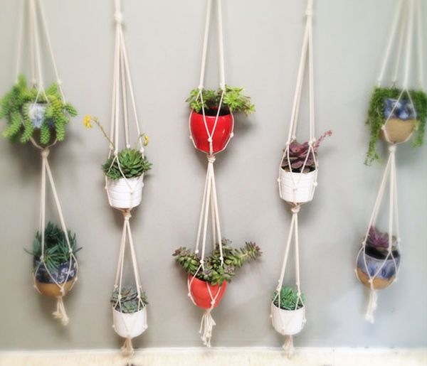 Cool cotton rope plant hangers adds ample greenery