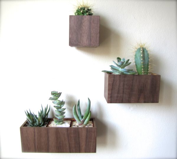 Walnut wood wall planters can also be crafted at home