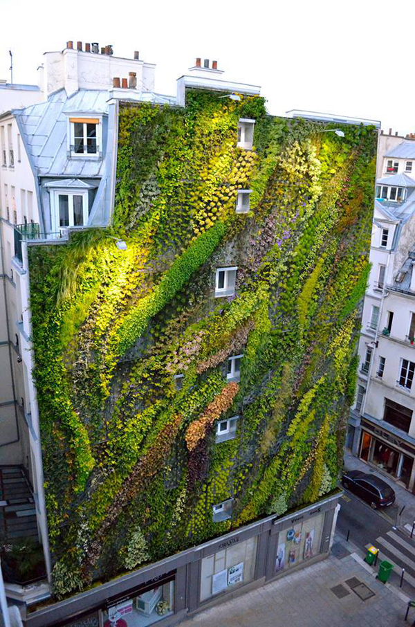 Revealing A Stunning Living Wall: Patrick Blanc's Work for Paris ...