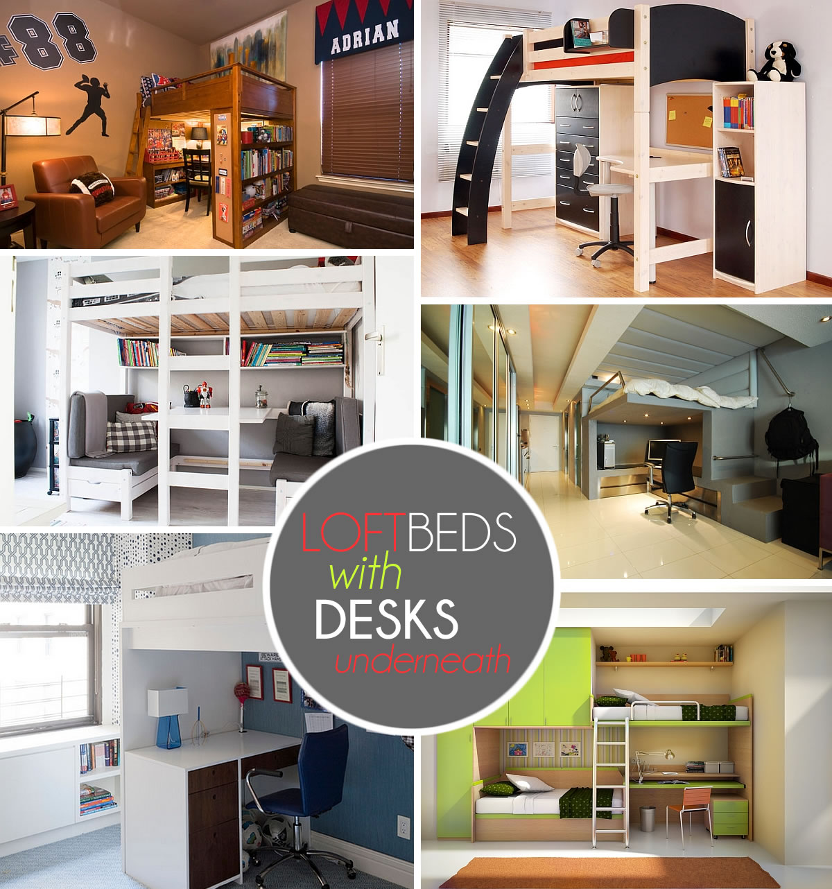 Loft Beds With Desks Beneath Decorations Tree