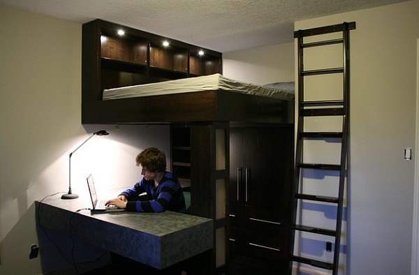 Loft Beds With Desks Beneath Decorations Tree