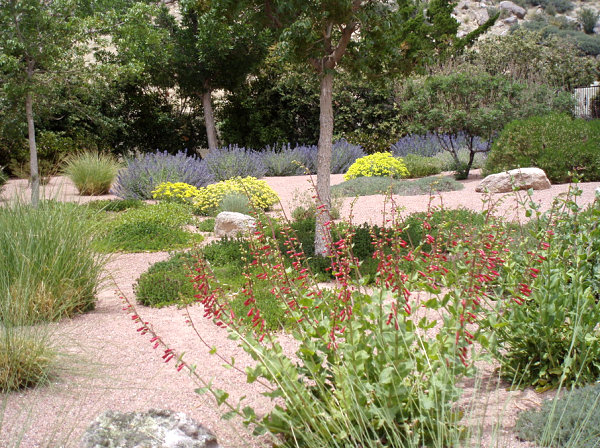 Modern Xeriscaping Ideas For Your Outdoor Space