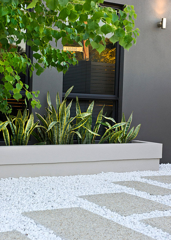 The best outdoor plants for shaded areas Doors patio idées