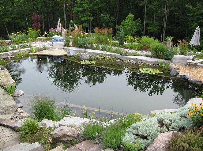 natural pond pool