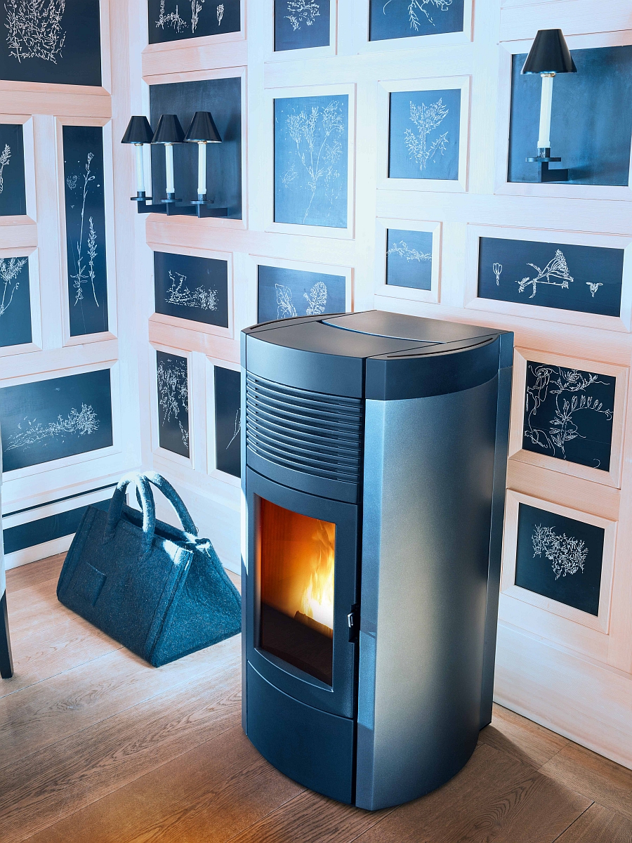 Best Pellet Stove Modern for Small Space
