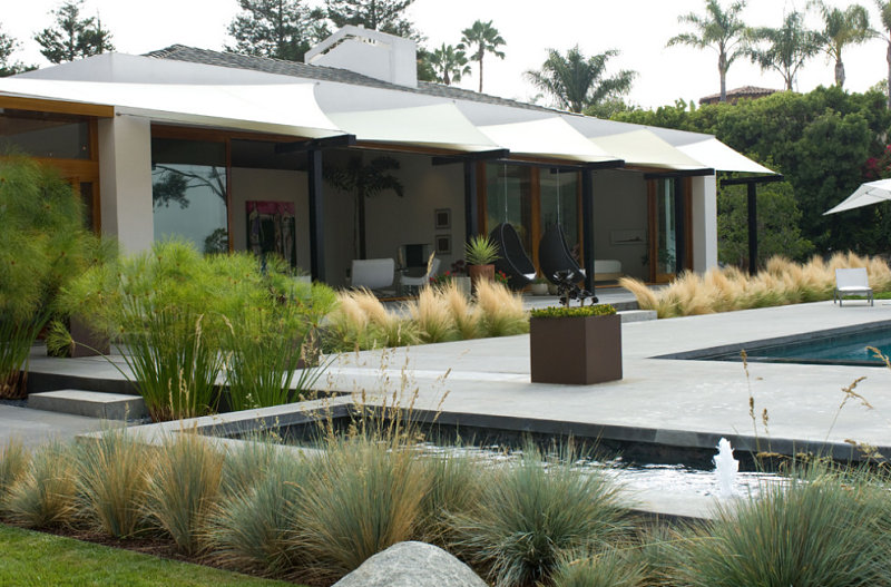 Modern backyard landscaping with native grasses