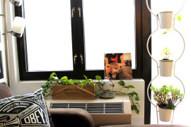 DIY Cat Photo Art with Brown Couch
