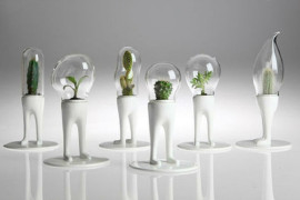 DOMSAI Terrarium Buddy