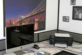 Dream Cubicle Window